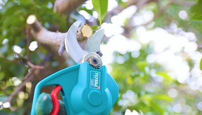 lame acier SK5 pour taille nette